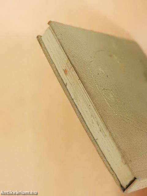 Das Tagebuch (minikönyv)