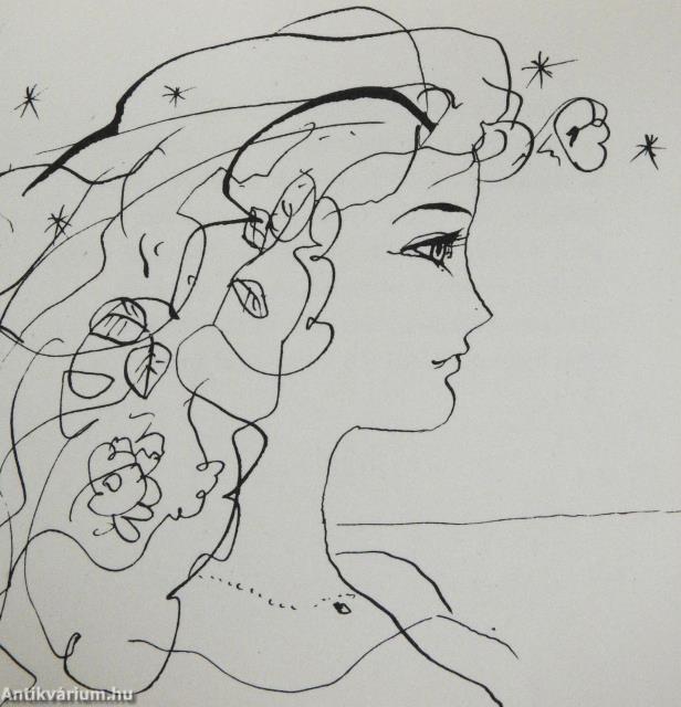 Das Tagebuch (minikönyv)