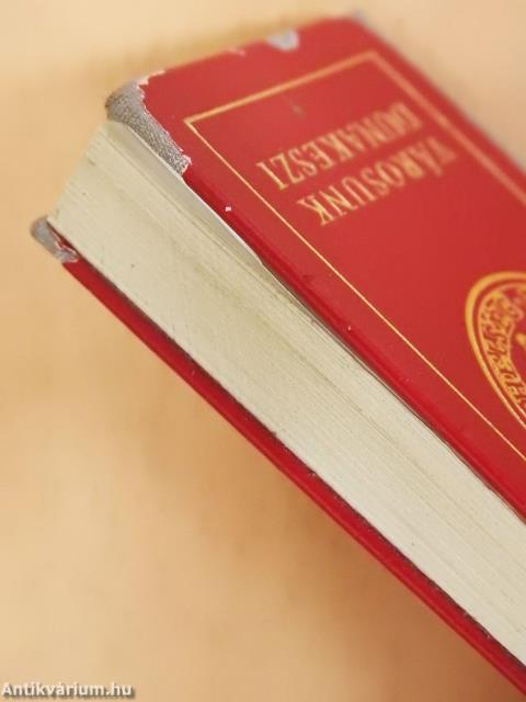 Városunk Dunakeszi (minikönyv)