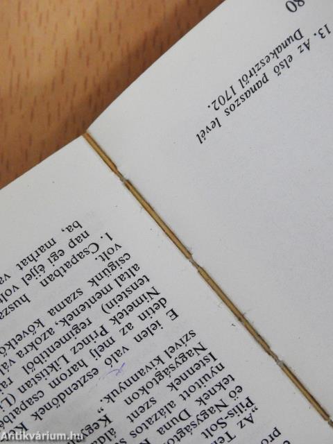 Városunk Dunakeszi (minikönyv)