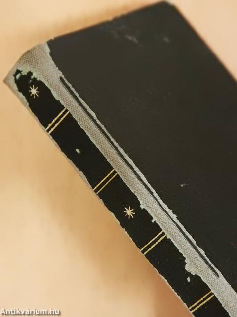 Zsivajgó természet (minikönyv)