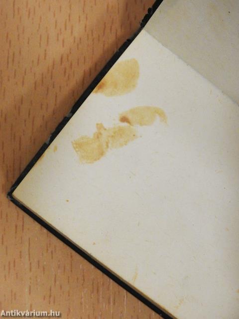 Zsivajgó természet (minikönyv)