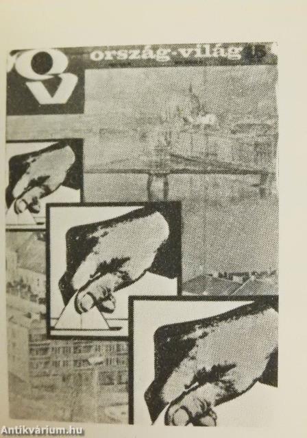 Salytó hibák (minikönyv) (számozott)