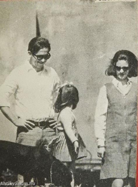 Salytó hibák (minikönyv) (számozott)