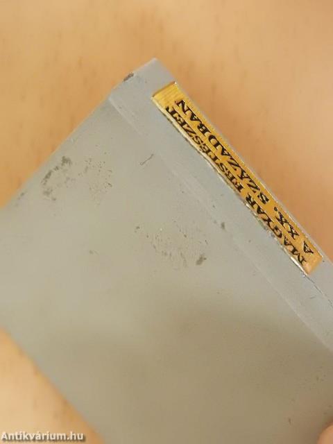 Magyar festészet a XX. században (minikönyv)