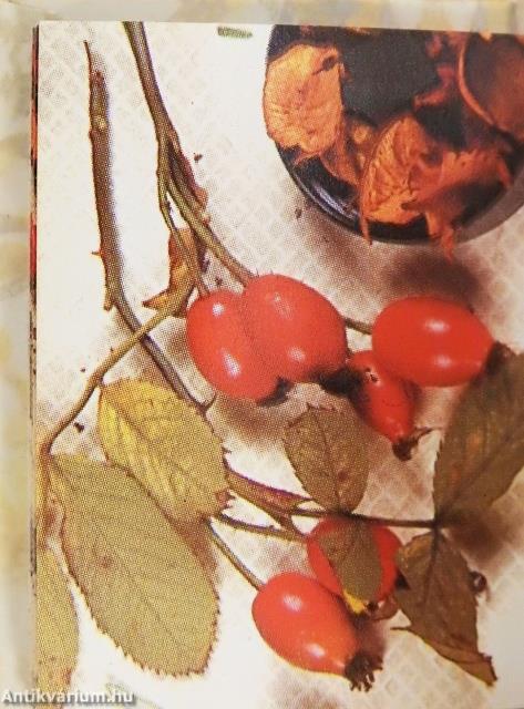 Egy igazán különleges embernek (minikönyv)