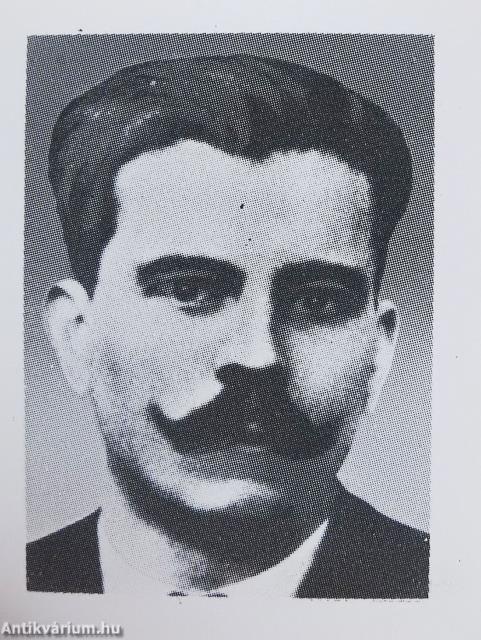 Vöröskatonák 1919 (minikönyv) (számozott)