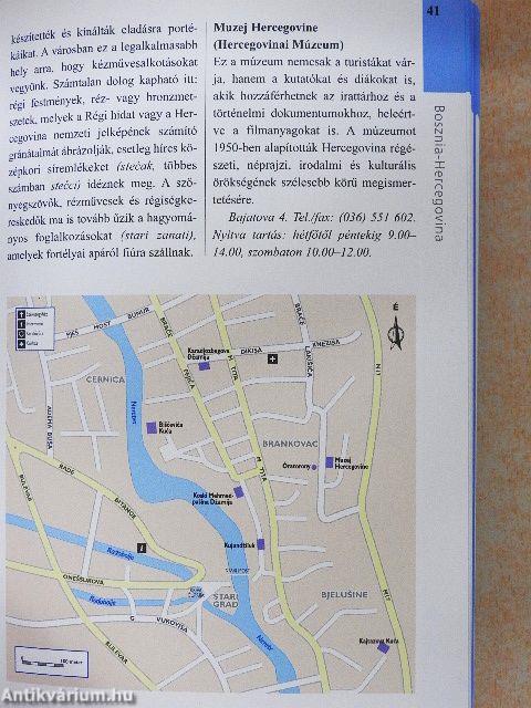 Bosznia-Hercegovina, Szerbia és Montenegró