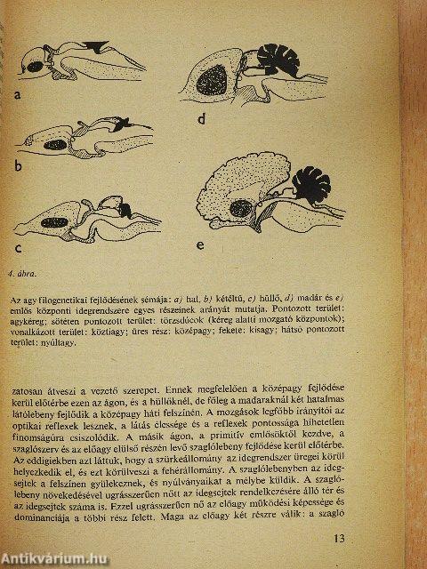 A biológia és a haladás II.