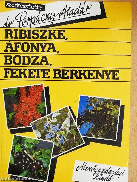 Ribiszke, áfonya, bodza, fekete berkenye
