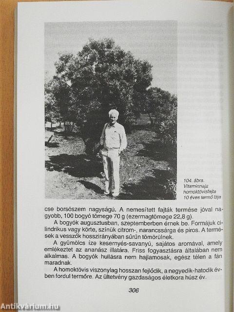 Ribiszke, áfonya, bodza, fekete berkenye