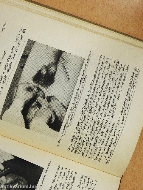 Kórbonctani gyakorlatok