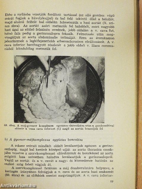 Kórbonctani gyakorlatok