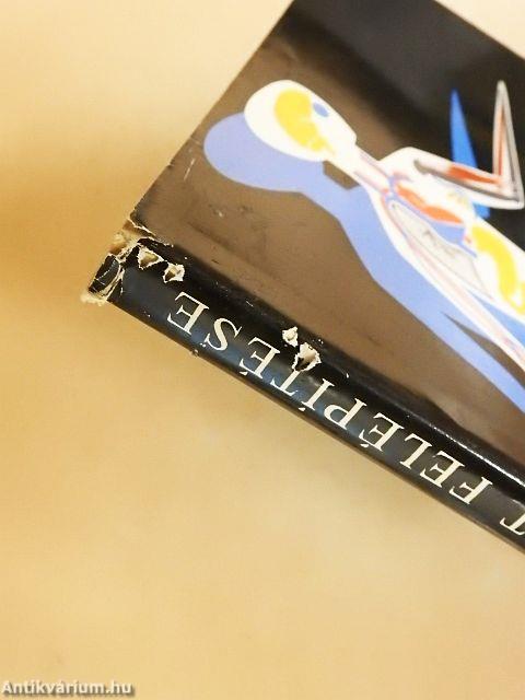 Az emberi test felépítése