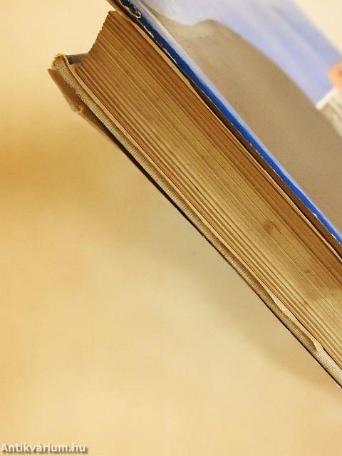 Az avantgarde támogatói