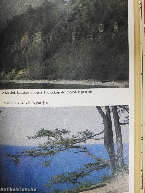 Az arany hegyek útjain