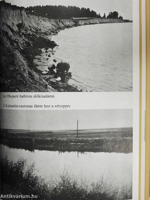 Az arany hegyek útjain