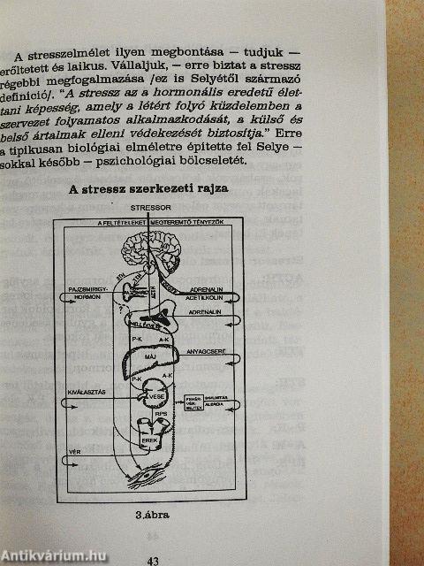 Ép testben ép(p)en élek