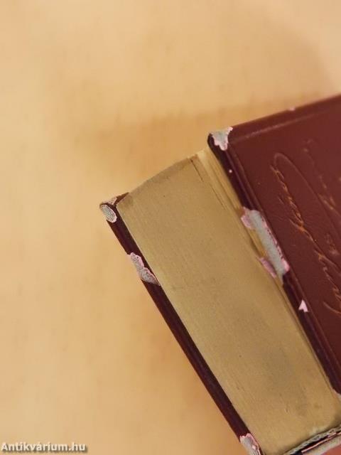 Arany János és Petőfi Sándor levelezése (minikönyv)