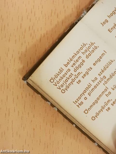 Himnusz minden időben (minikönyv)