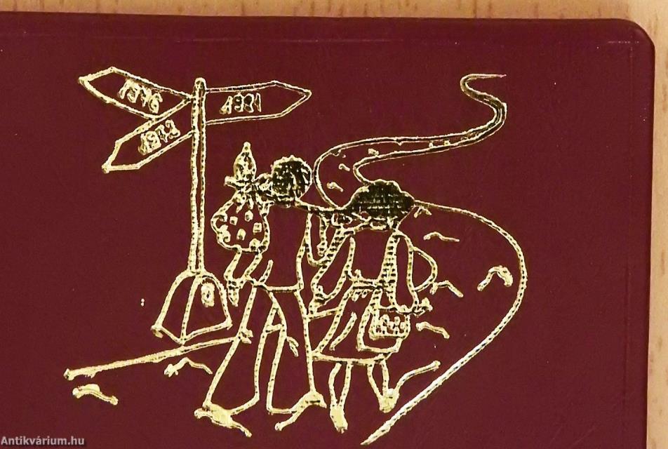 Meghívó (minikönyv)