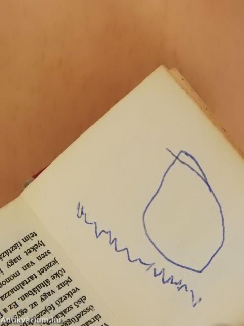 Marxról (minikönyv)