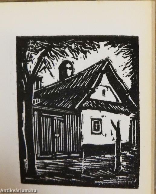 Kecskemét (minikönyv)