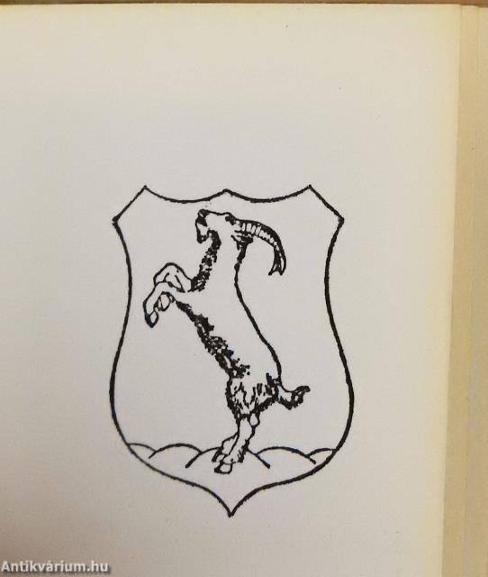 Kecskemét (minikönyv)