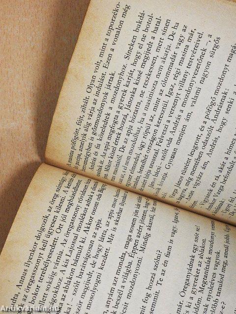 A határon történt