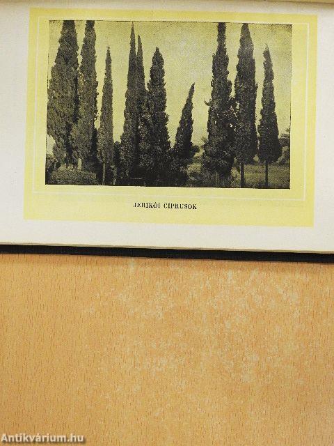 Az Üdvözítő nyomában 1-2.