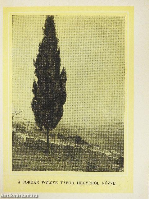 Az Üdvözítő nyomában 1-2.