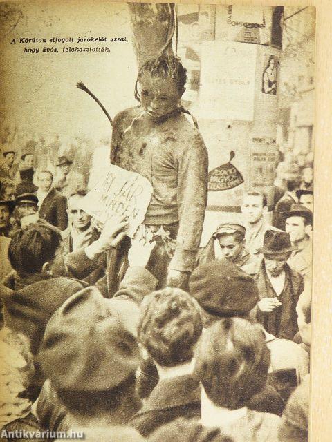 Ellenforradalmi erők a magyar októberi eseményekben I.