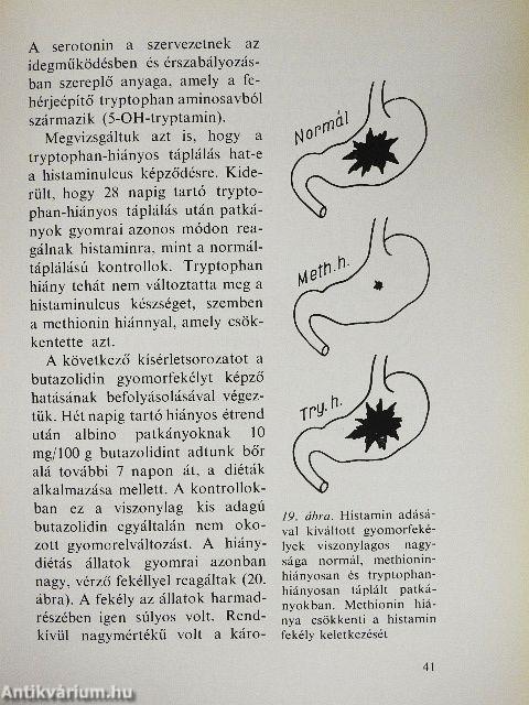 Táplálkozás - egészség, betegség