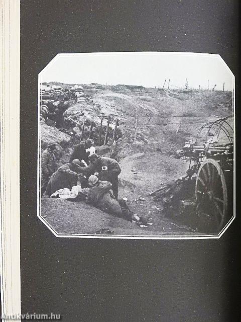 Fekete madarak árnyékában