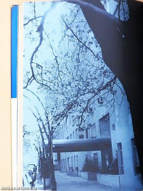 Macallan bosszúja/Tégy úgy, mintha nem ismernéd/Súlyos büntetés/Csak a szerelem