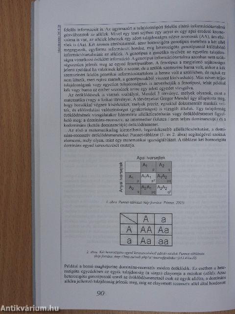 Iskolakultúra 2014. október