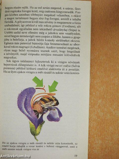 A természet szabadalmai