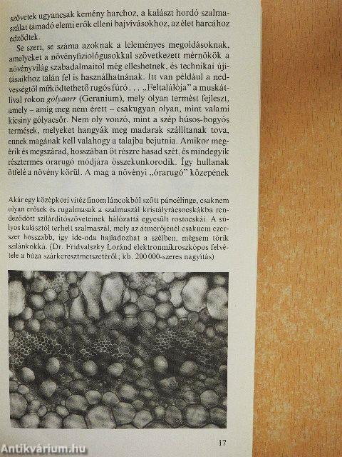 A természet szabadalmai