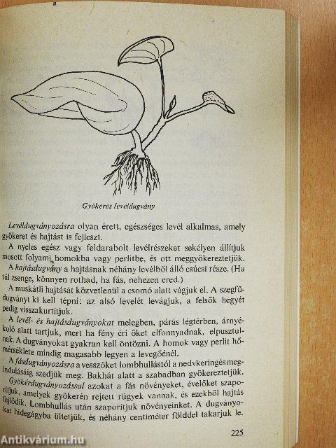 Kiskerti tanácsadó