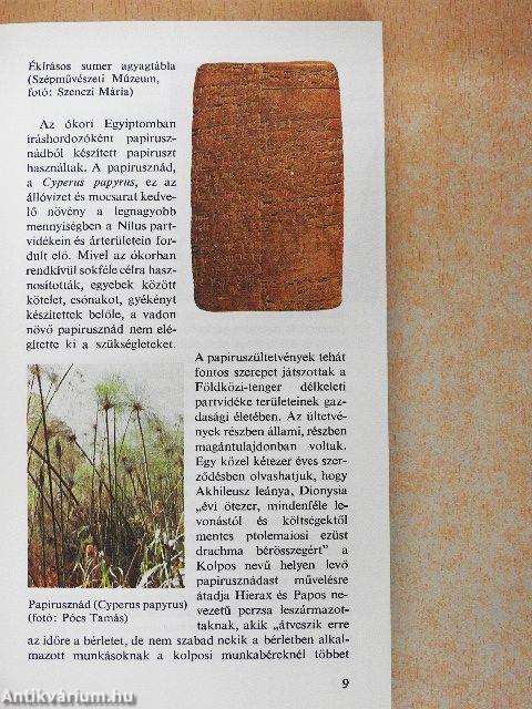 A kétezer éves papír