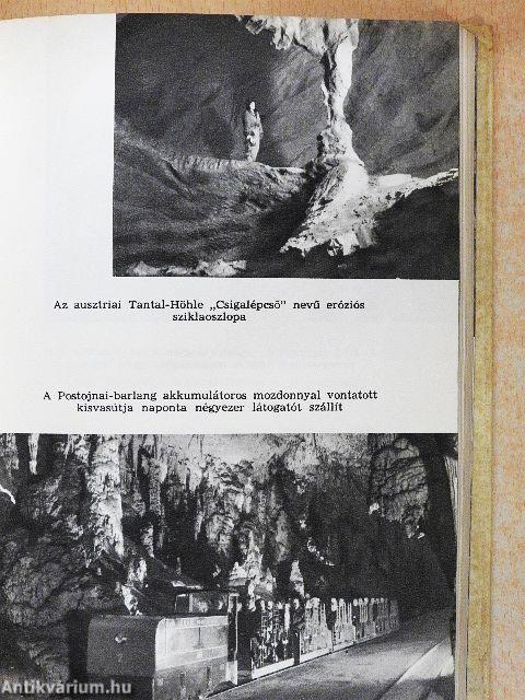 A barlangok világa
