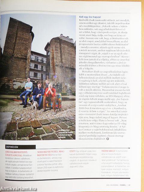 Forbes 2013. december