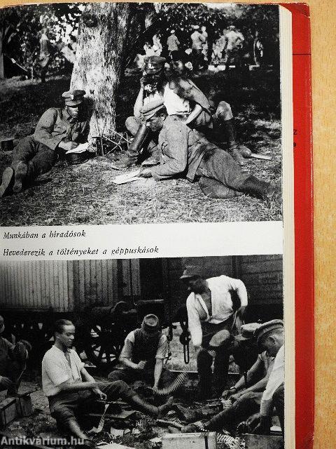 A Magyar Tanácsköztársaság