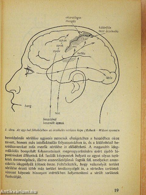 Az írástanulás pszichológiája
