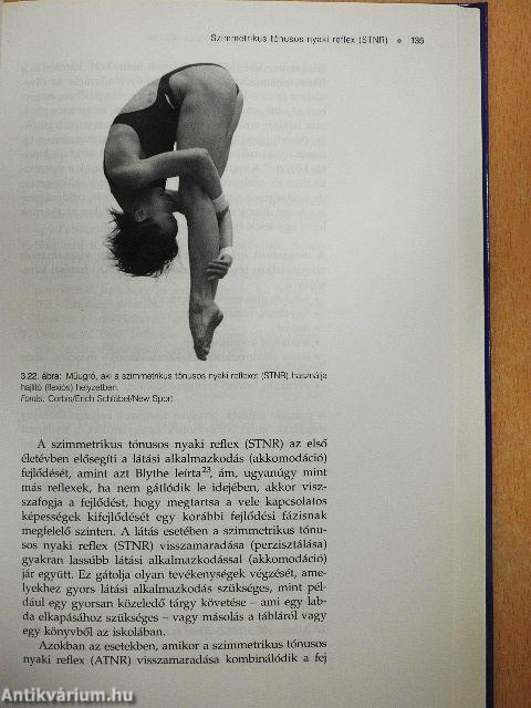 Akaratlagos figyelem, Biztos egyensúly, Csodálatos összhang