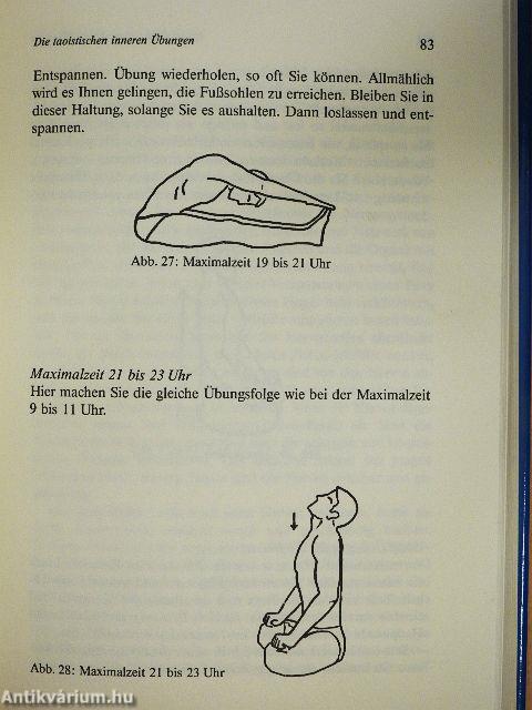 Das Handbuch ganzheitlicher Selbstheilung