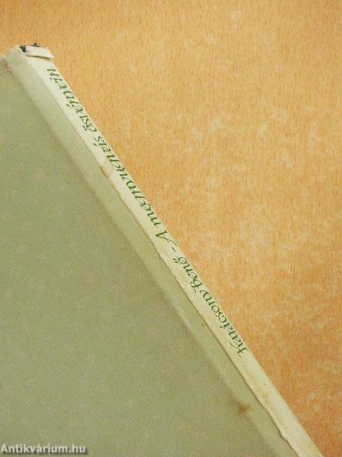 A megnyugvás ösvényein