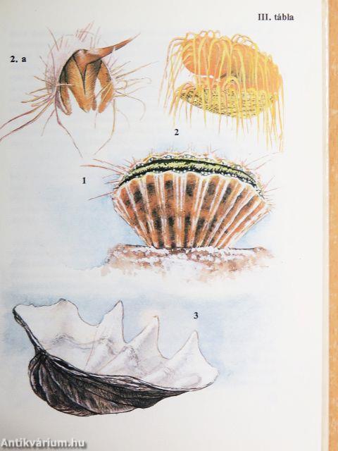 "30 kötet a Búvár zsebkönyvek sorozatból (nem teljes sorozat)"