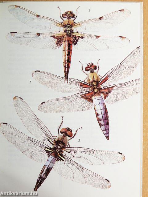 "30 kötet a Búvár zsebkönyvek sorozatból (nem teljes sorozat)"