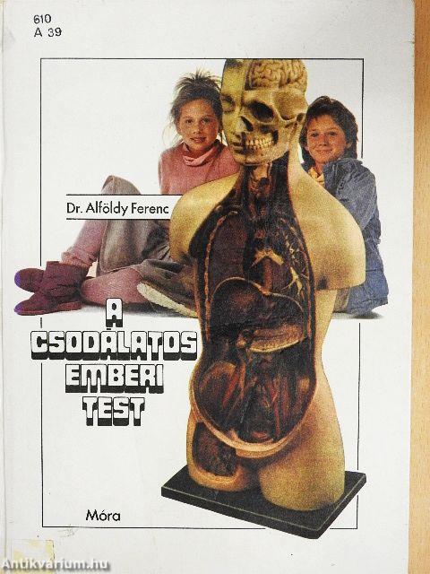 A csodálatos emberi test